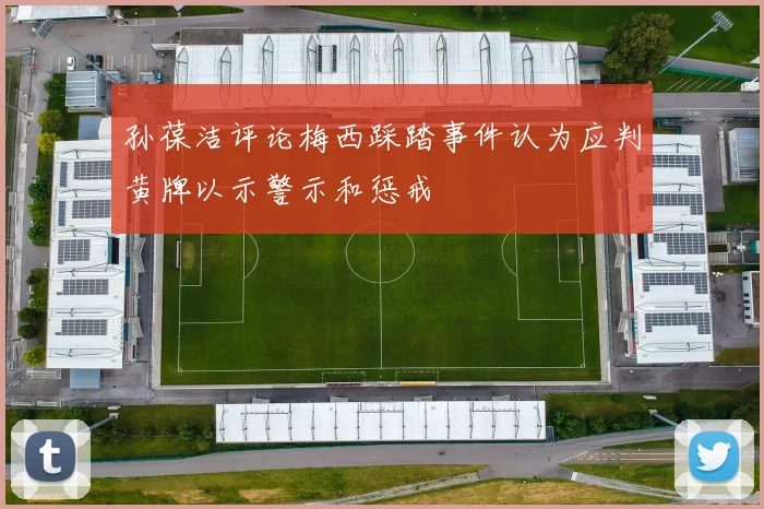 孙葆洁评论梅西踩踏事件认为应判黄牌以示警示和惩戒