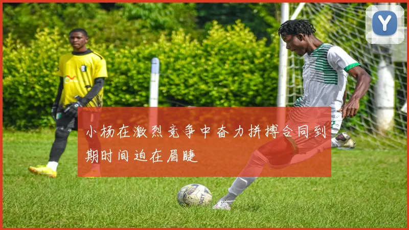 小杨在激烈竞争中奋力拼搏合同到期时间迫在眉睫